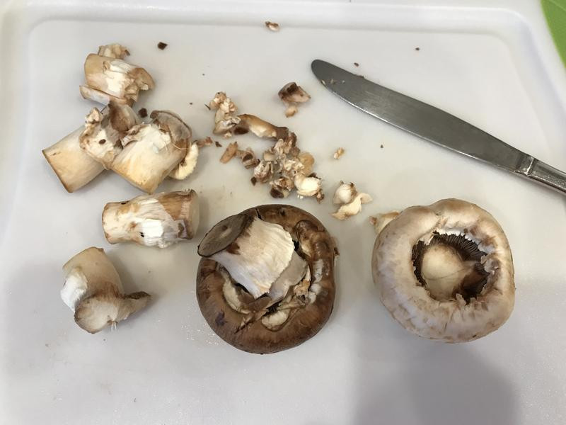 �h����ϺĢ��������