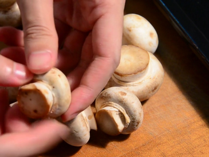 ���ֿ�Ģ��������