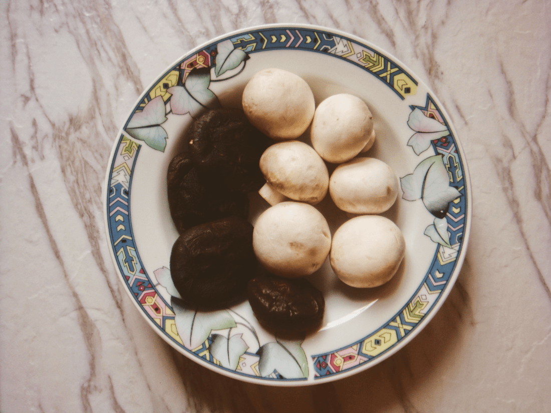 ����Ģ����������