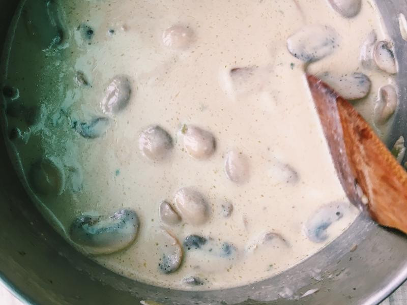 ����Ģ��Ũ��������