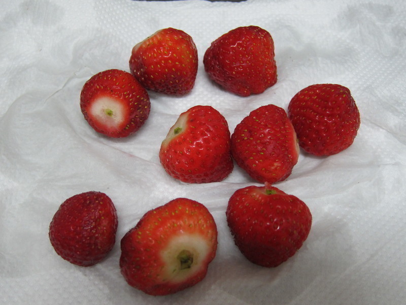 ��ݮ������ͷ������