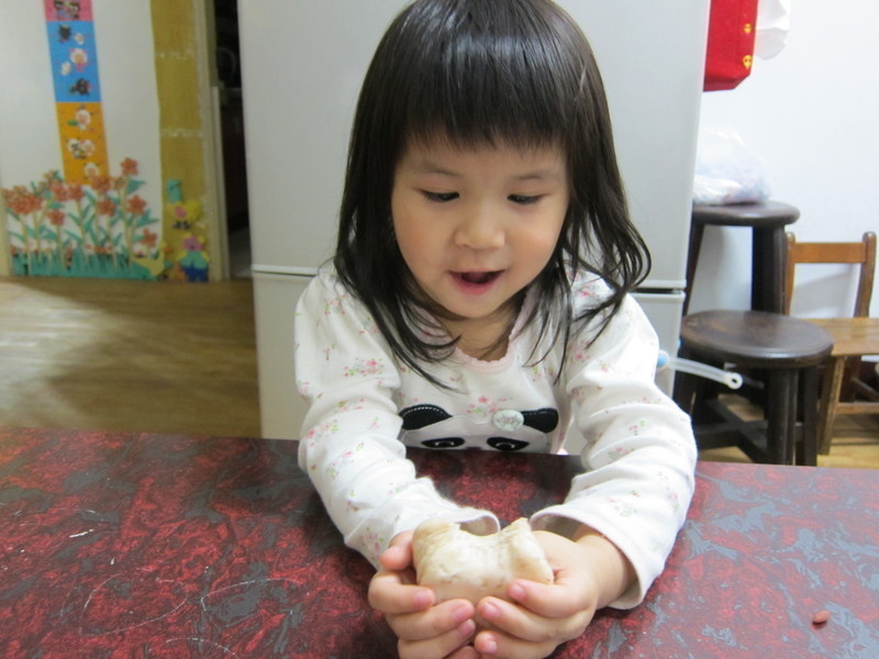 ��ݮ������ͷ������