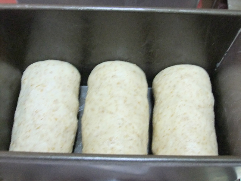 С��������~����ζ�����˾��˾��530g/12����ģ/4����������