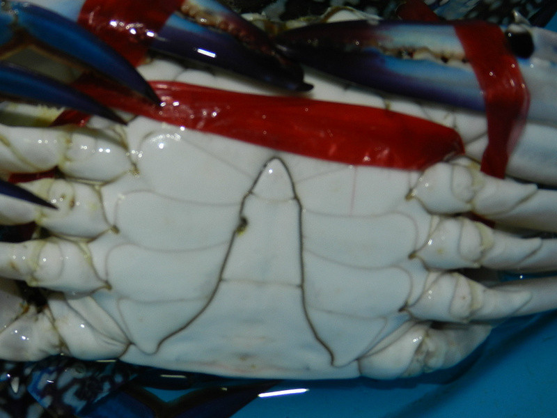 �̵���з������