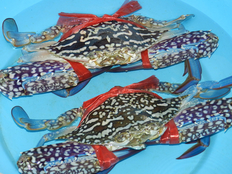 �̵���з������