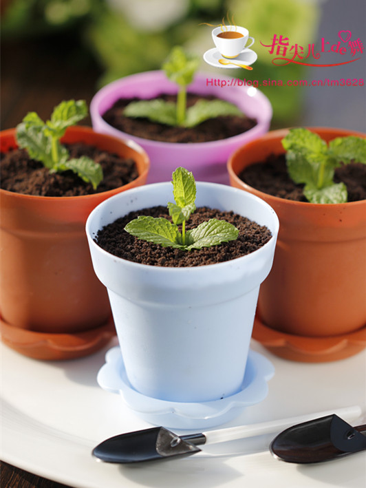 �������Ʒ��������֥ʿ���������