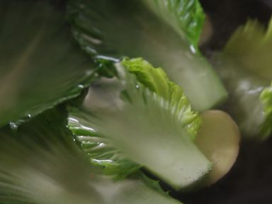 �ٻ����˵�������