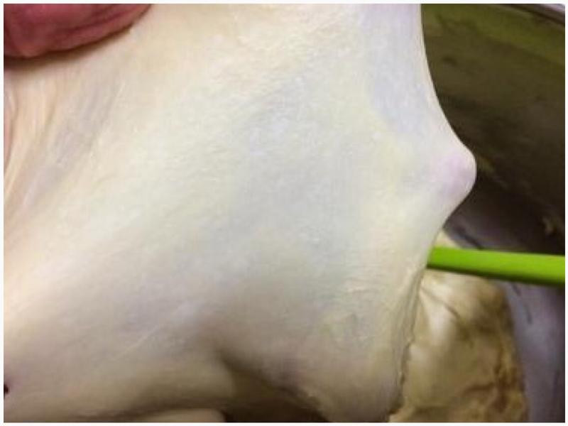 �Ÿ�������Ѹ����������