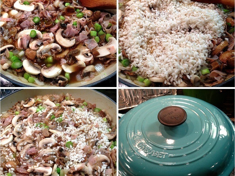 «��ţ�ξ��ʹ�����������