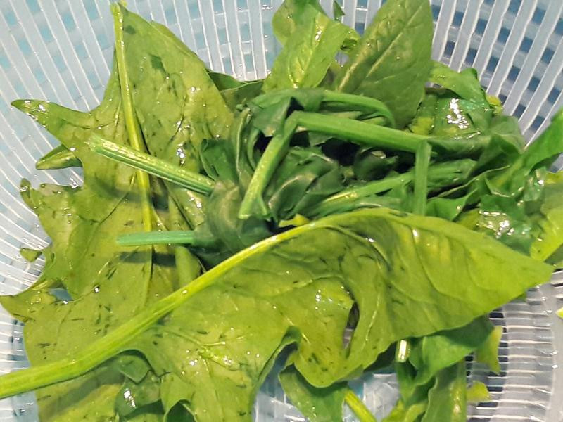 ެ������Ƭ���˵�����������