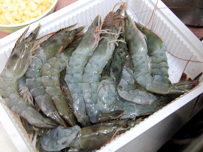 �h����˾��Ϻ������