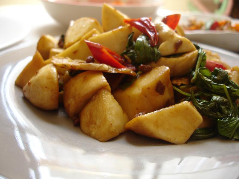 �����ӱ���~ά��ը��(��ʳ)������