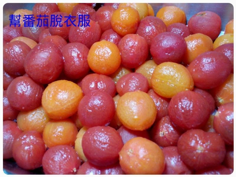 ˫ɫ÷�շ��ѵ�����