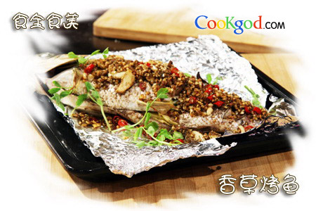 ��ݿ��������