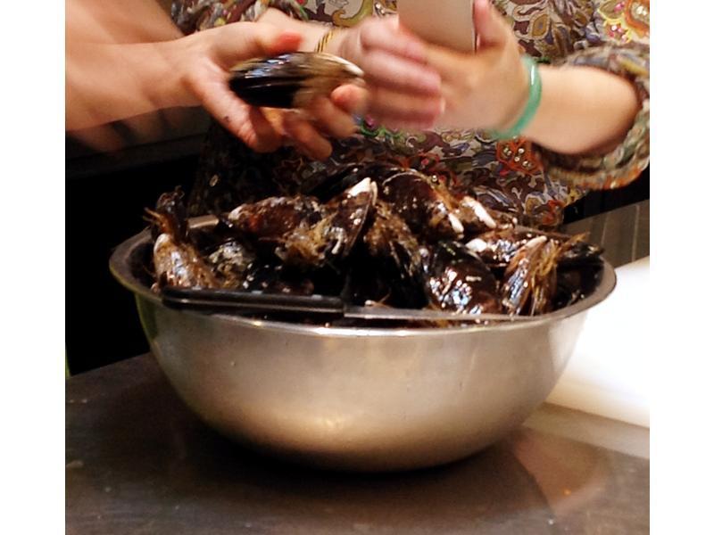 ��ʽ�׾ƻ⵭��Moule������