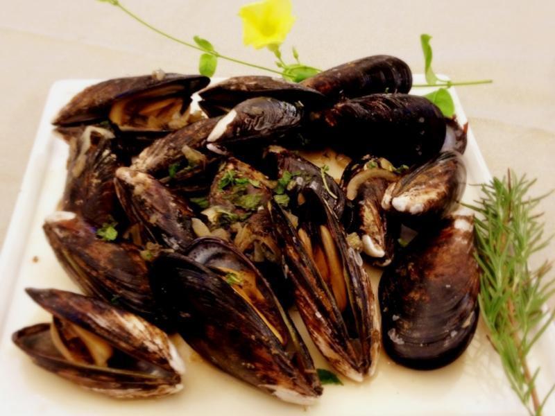 ��ʽ�׾ƻ⵭��Moule������