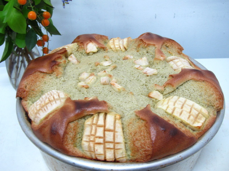 Ĩ��ƻ���ݷ絰�������