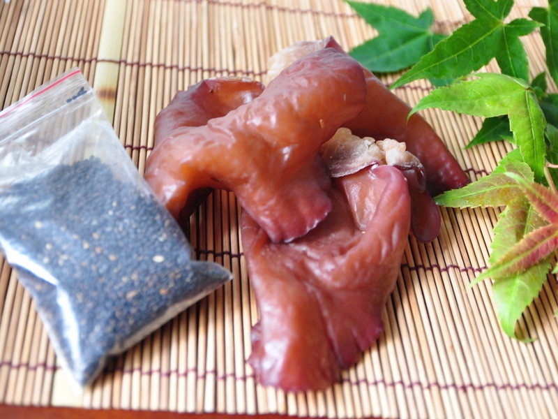 ��֥��ľ������LSY�����������š�������