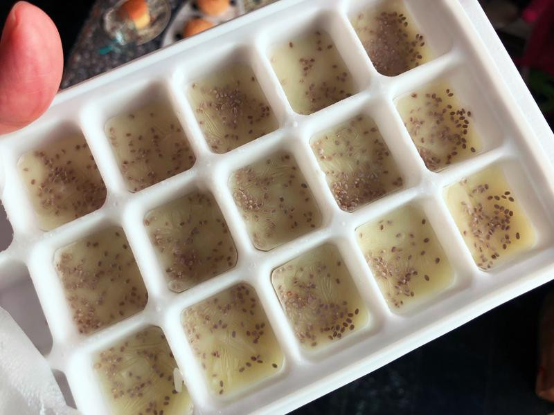 �Ÿ��ש������������