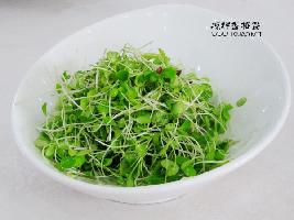 Ůͬ���ǽ��տ��֡��������㴻�������