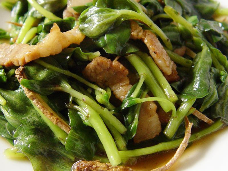 �����ȳ���˿������