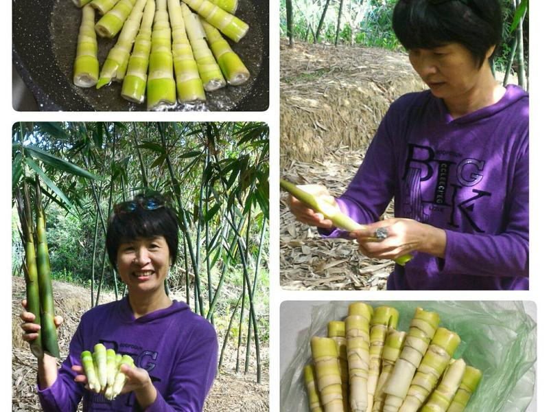 �·���������������