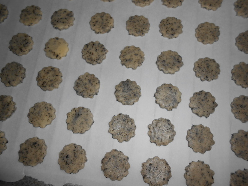 �޵����ɤκ�֥�����������ױ��ɵ�����