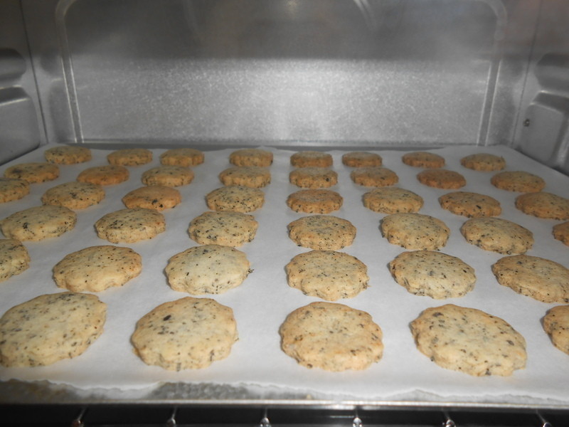 �޵����ɤκ�֥�����������ױ��ɵ�����