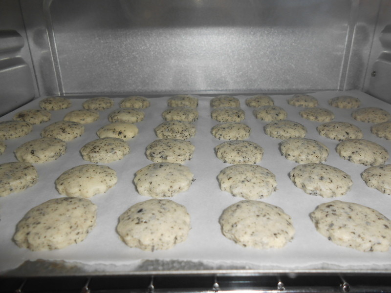 �޵����ɤκ�֥�����������ױ��ɵ�����