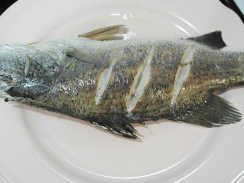 ̩ʽ������ - ������񫣬����θ!!������