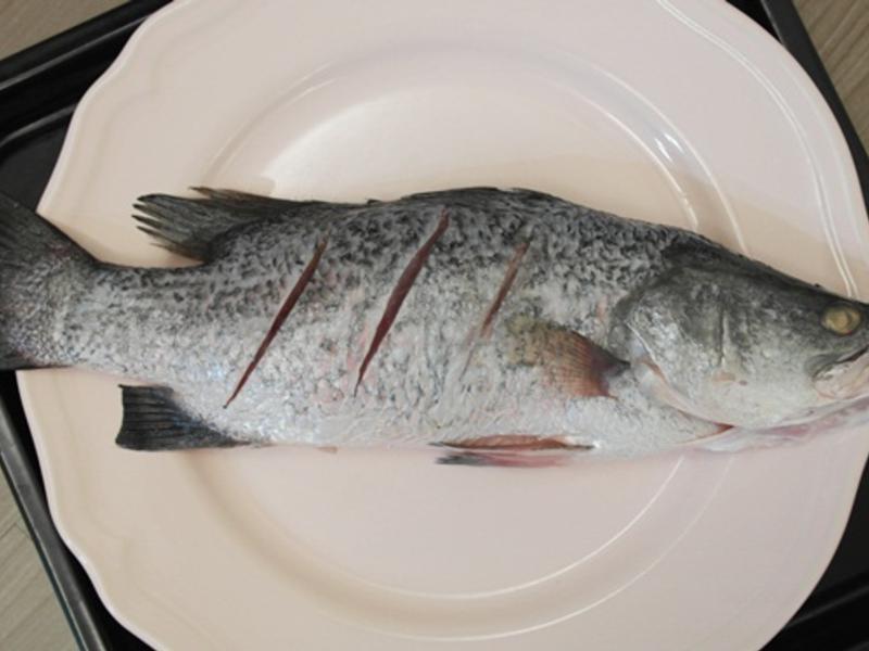 ̩ʽ������ - ������񫣬����θ!!������