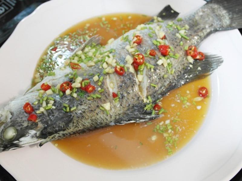 ̩ʽ������ - ������񫣬����θ!!������