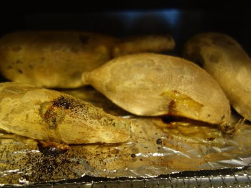 ������ͣ����عϵ�����