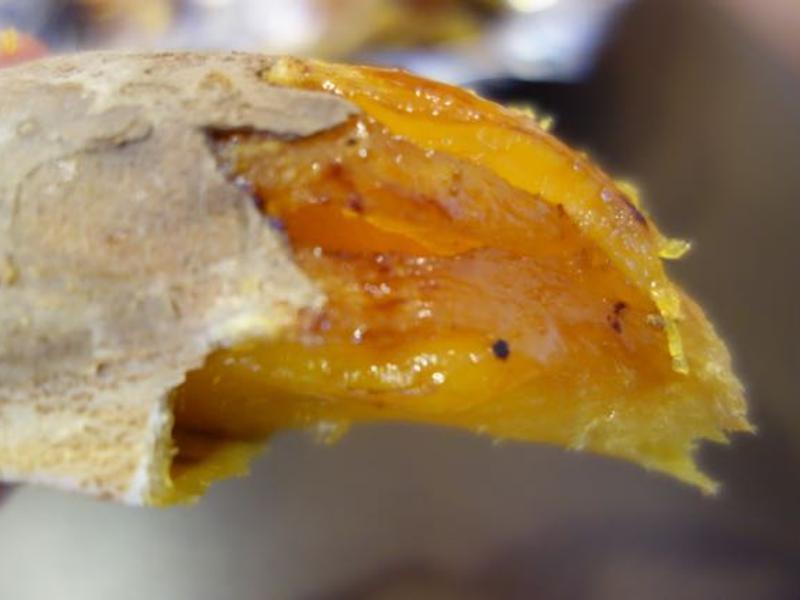 ������ͣ����عϵ�����