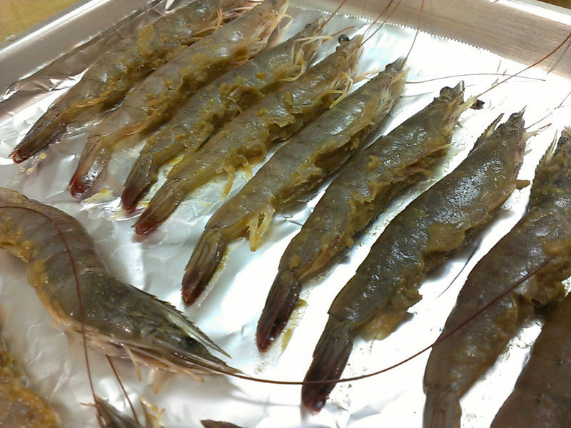 Ʒ���ϲ�-������Ϻ������