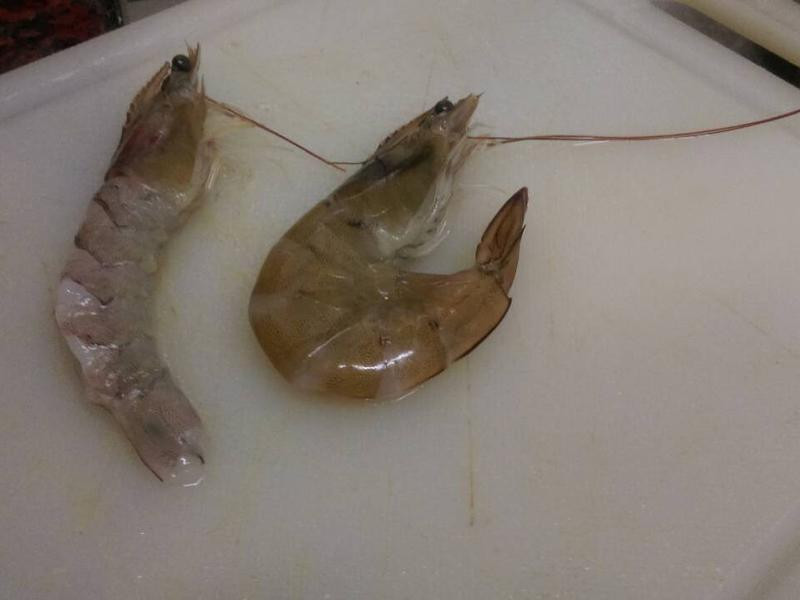 ����Ϻ������