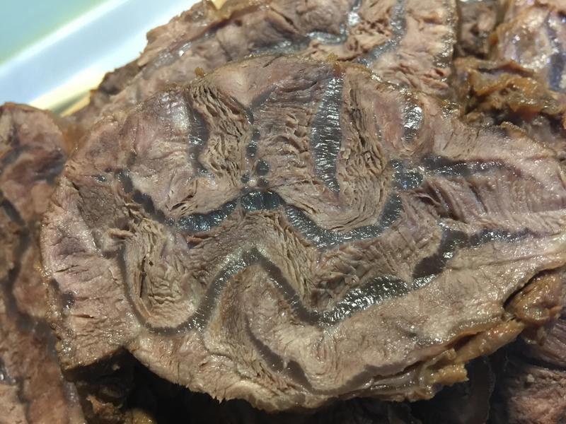 ������ţ���������