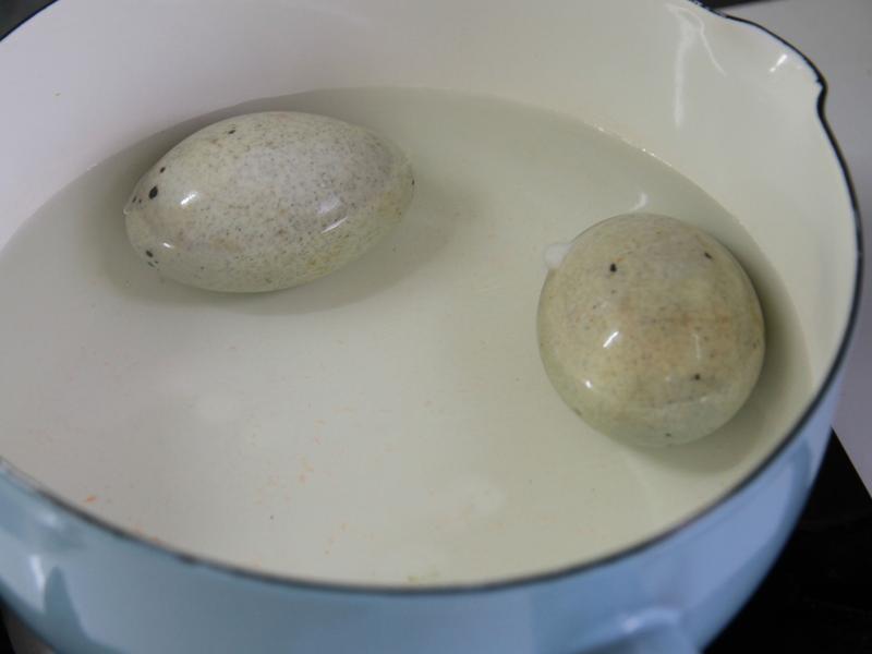 Ƥ���ͷ纣��ɳ��_С��ʳ�õ�����