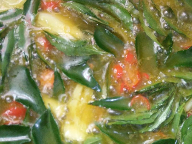 ������Ƭ������