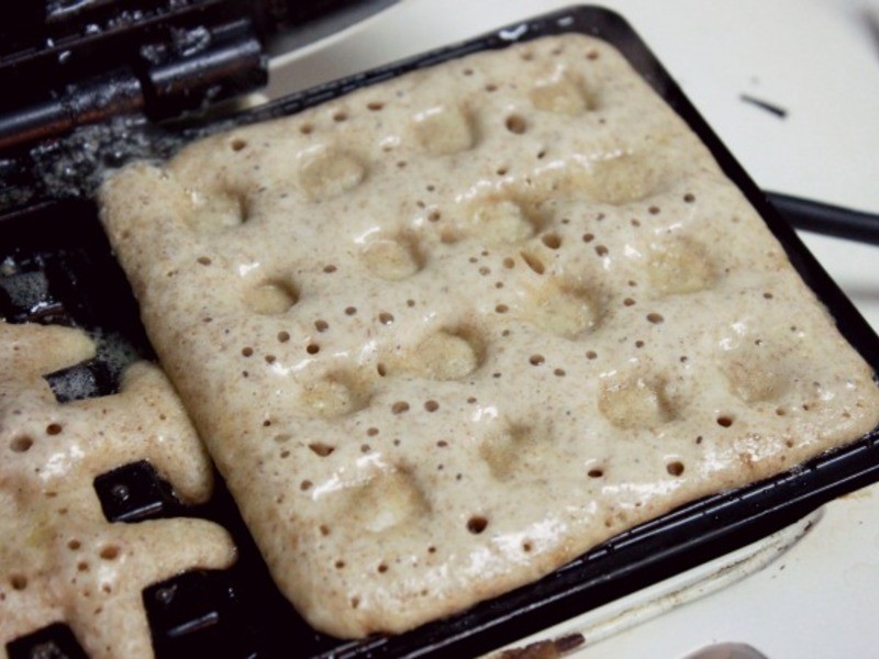 �ɱ�Waffles���ռ���ĺóԵ�����