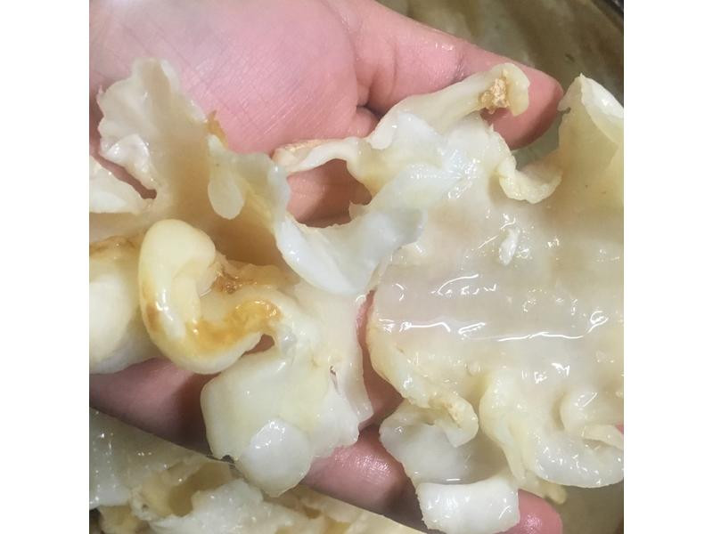 ���㽺��������������