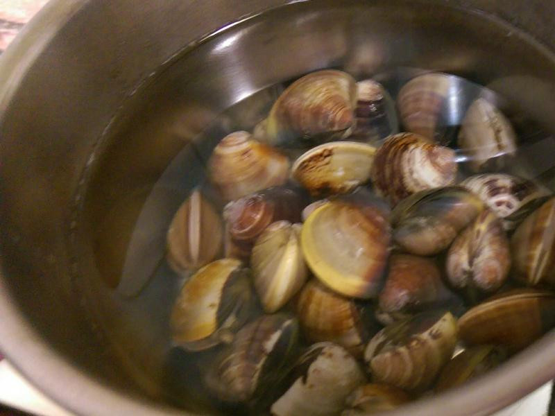 �̿�������������������