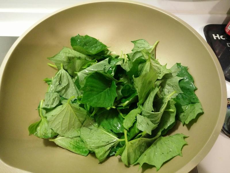 �ع�Ҷ��Ƥ��������