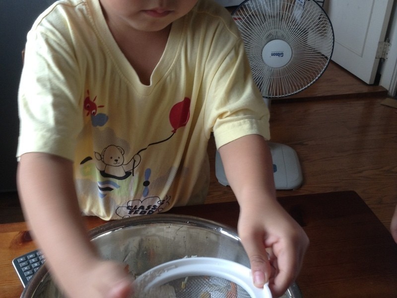 ��̦ʲ�����������