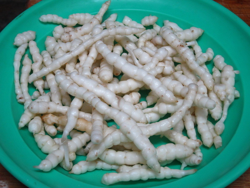 ��ʯ�ϳ���Ƭ������