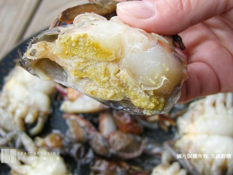 ��������-����ը��������з��������