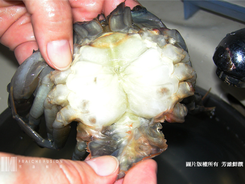 ��������-����ը��������з��������