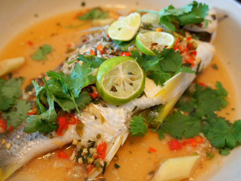 ̩ʽ���������� @�շ����ռǵ�����