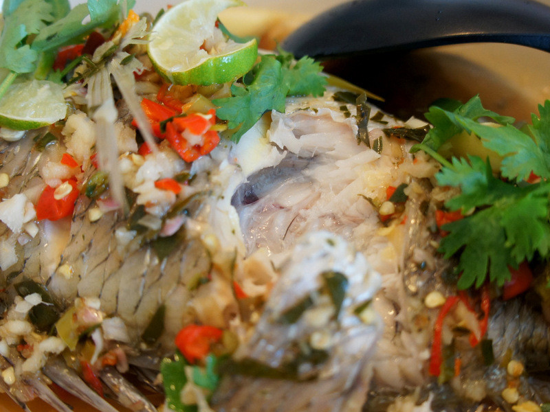 ̩ʽ���������� @�շ����ռǵ�����