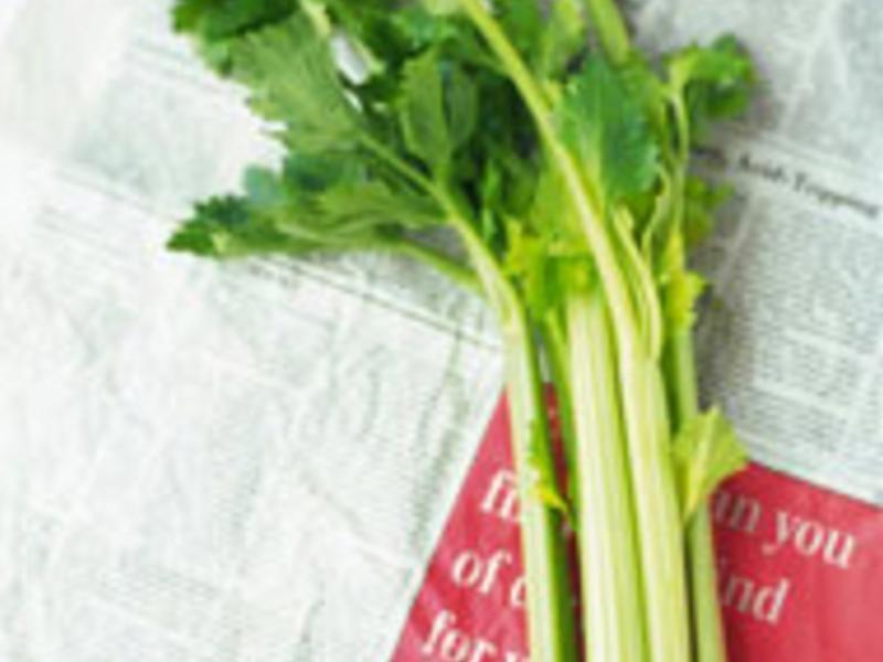 �������������֭��ƹ���������